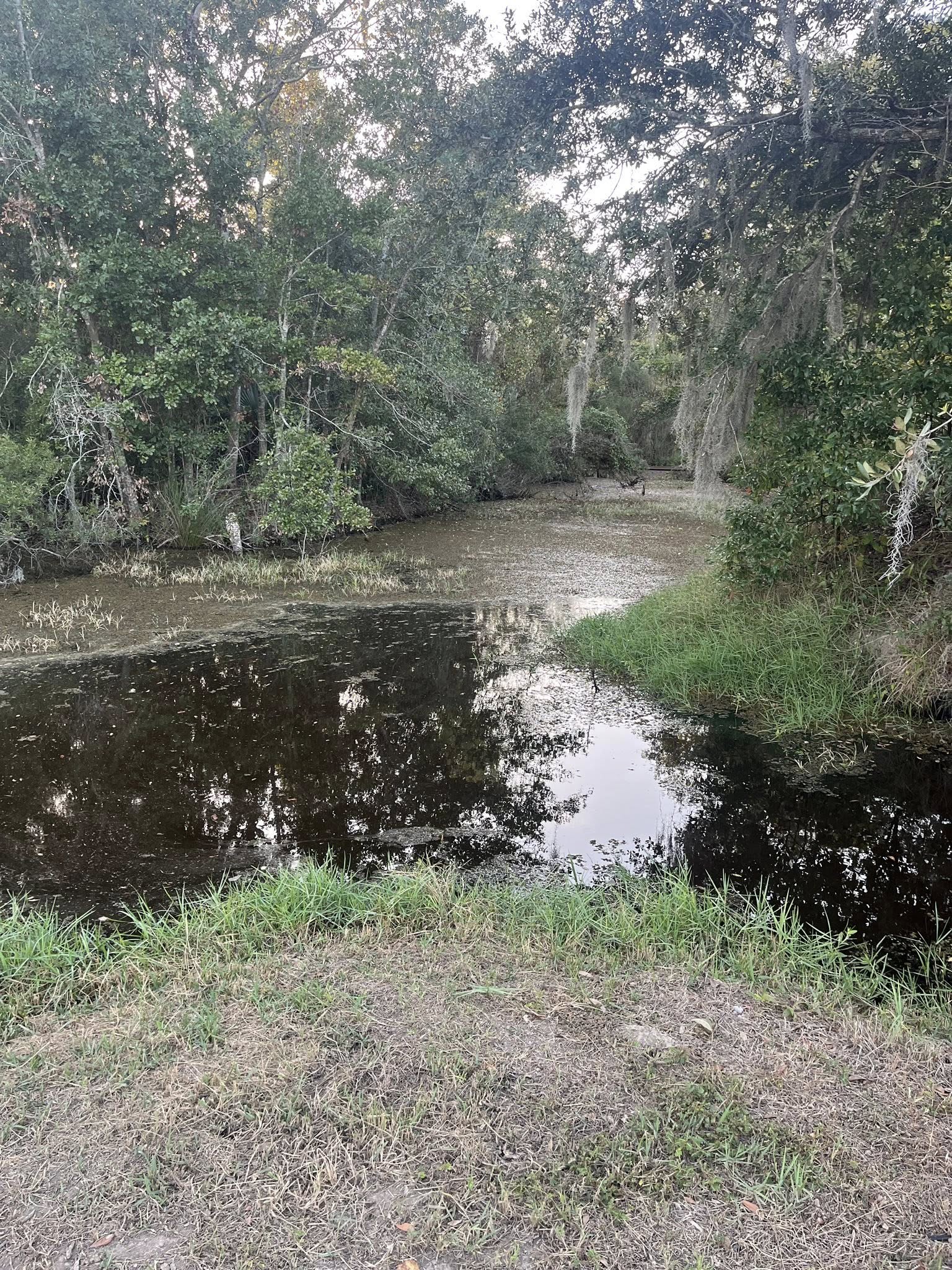 Rocky creek winding through a Texas landscape