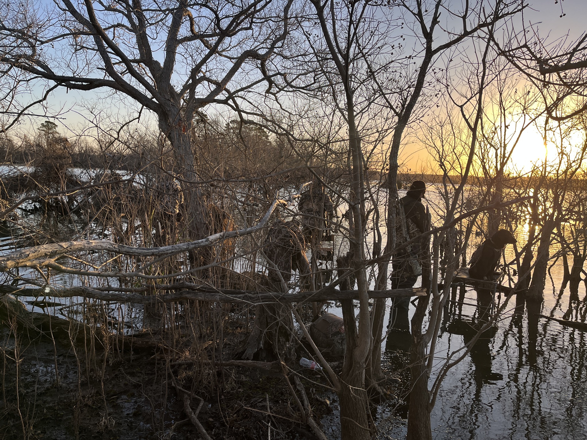 Dawn on the Water